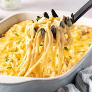 A black ladle serving cheesy chicken spaghetti