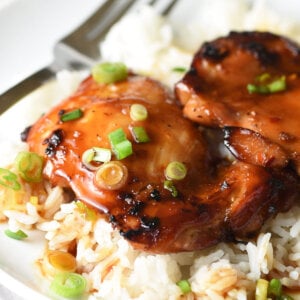 Hawaiian Barbecue Chicken on top of white rice with scallions