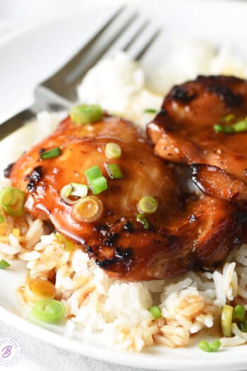 Hawaiian Barbecue Chicken on top of white rice with scallions