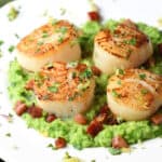 4 seared scallops on top of pea puree