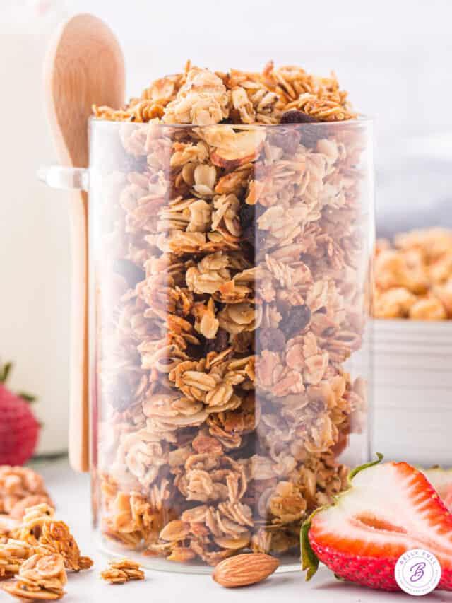 Homemade Granola Recipe Belly Full