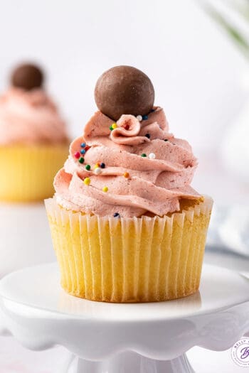 frosted vanilla cupcake with sprinkles and chocolate malt ball on top