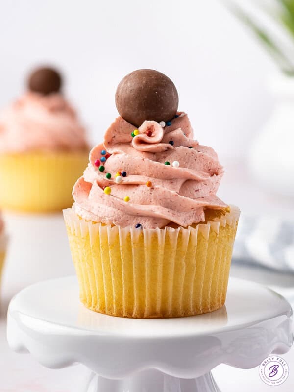 frosted vanilla cupcake with sprinkles and chocolate malt ball on top