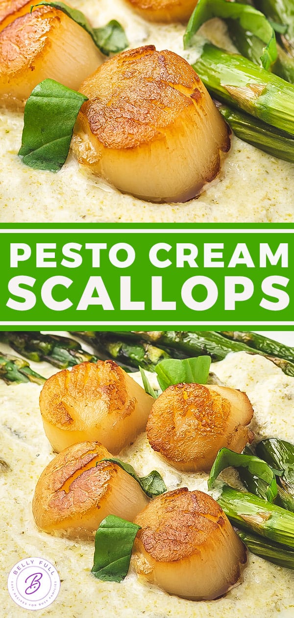 Seared Scallops with Pesto Cream Sauce Belly Full