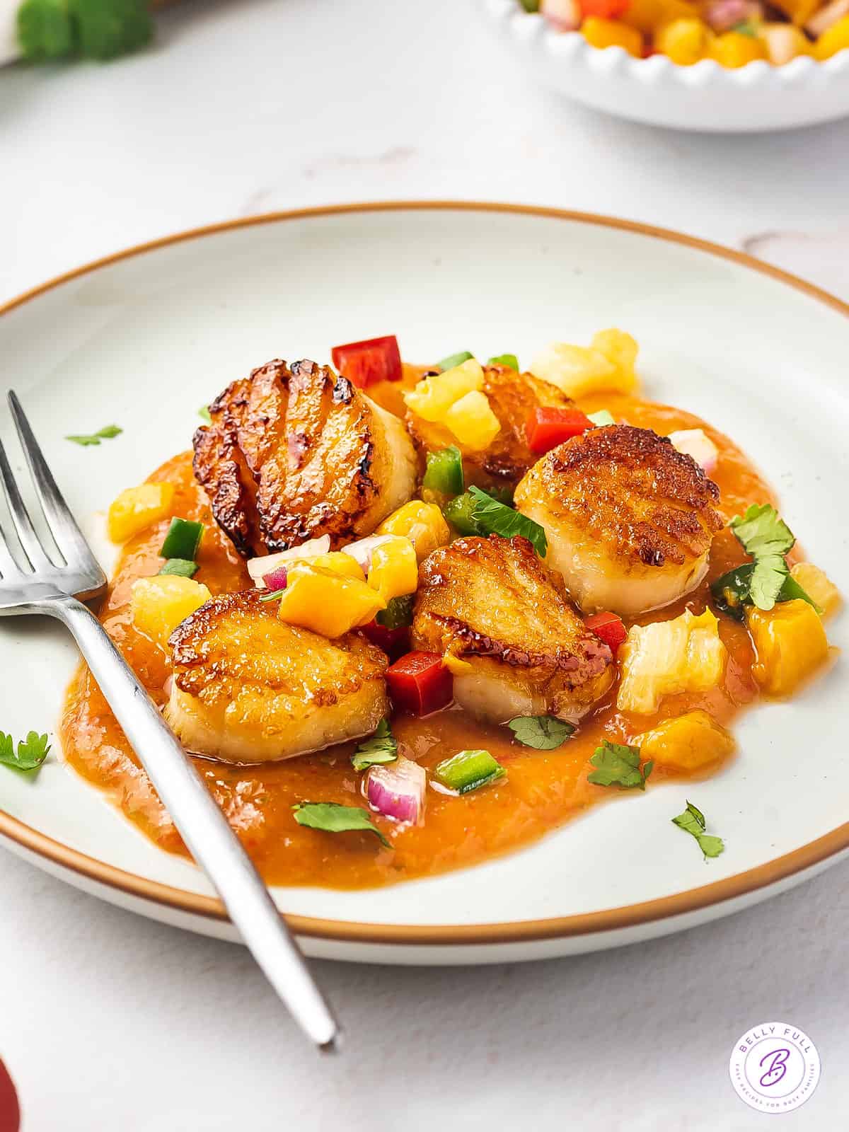 Seared Scallops With Fruit Salsa Belly Full 0298