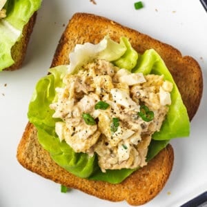 overhead tuna salad on top of butter lettuce and toast