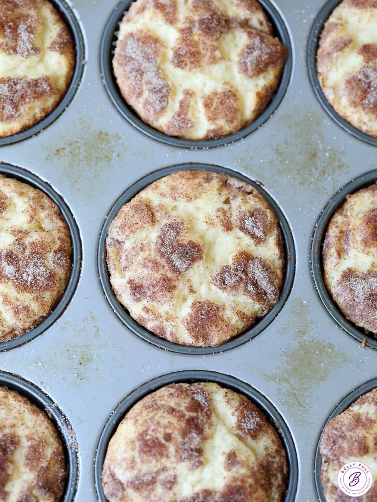 overhead cinnamon-sugar baked muffins in muffin tin