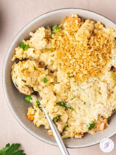 Overhead view of a bowl of instant pot chicken and rice