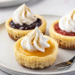 close up mini cheesecake with lemon curd and whipped cream