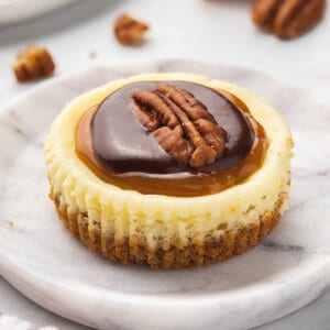 Angled view of a mini turtle cheesecake on a marble plate