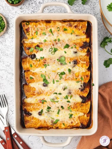 overhead cranberry turkey enchiladas in baking dish