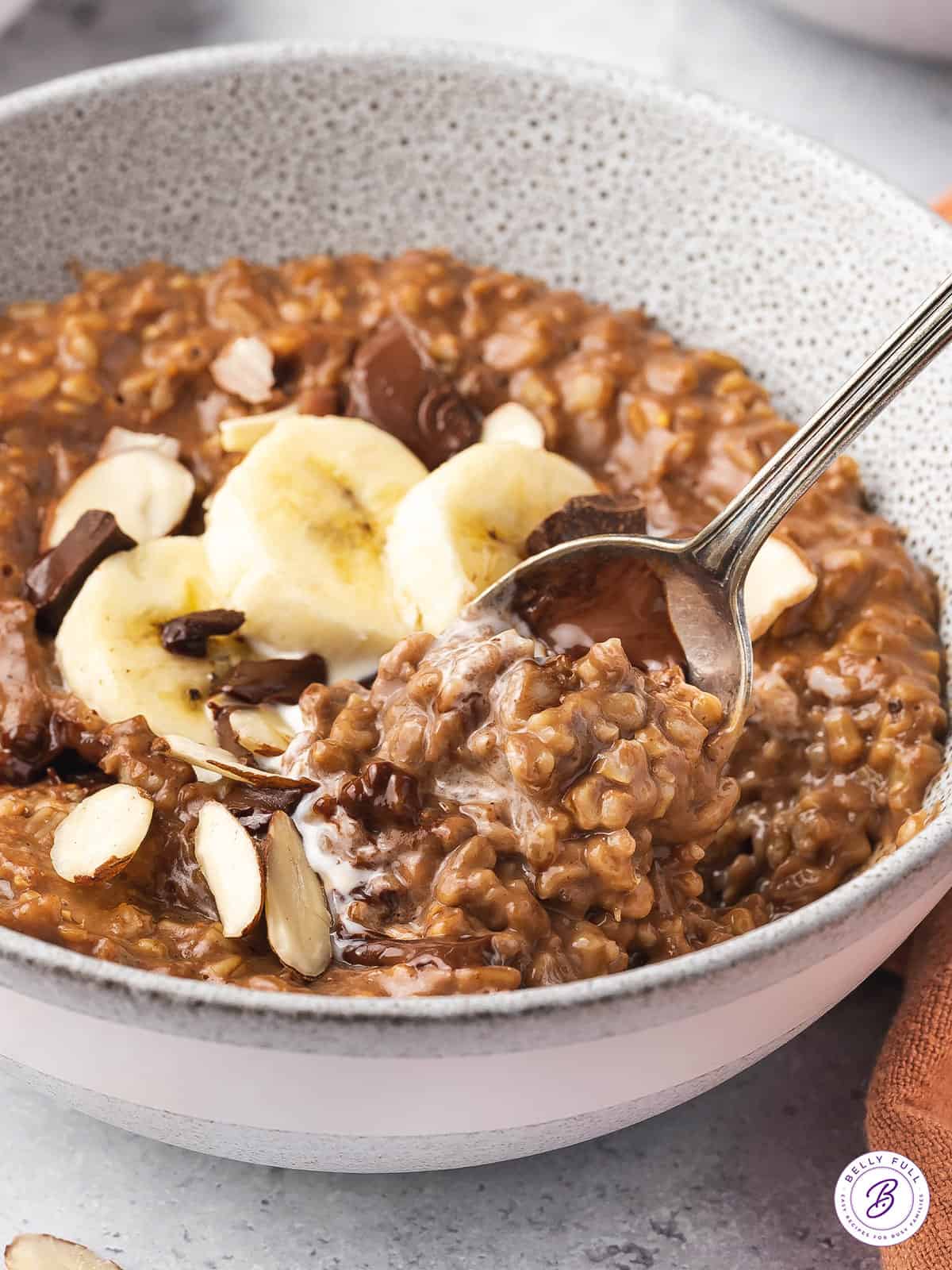 spoonful of chocolate steel cut oats