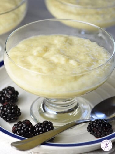 creamy tapioca pudding in glass dessert cup