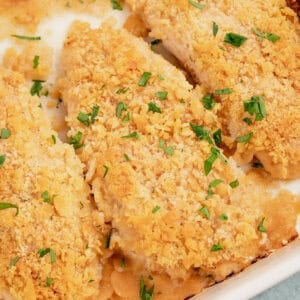 close up baked yogurt marinated chicken with cracker coating