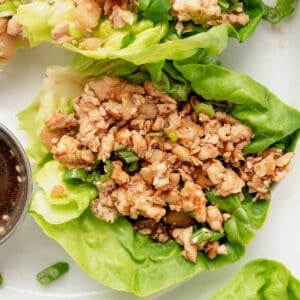 Overhead view of chicken lettuce wraps