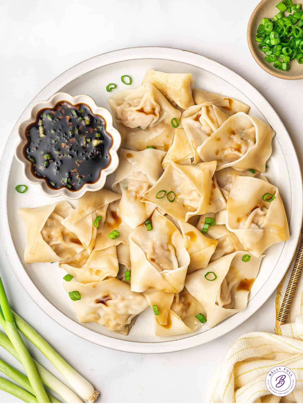 Chinese Pork Dumplings Recipe - Belly Full