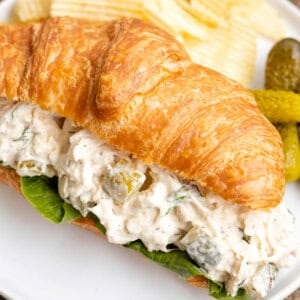 Dill pickle chicken salad sandwich on a plate