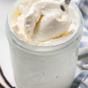 spoonful of vanilla ice cream