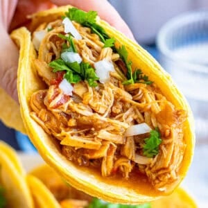 A hand holding a shredded chicken taco