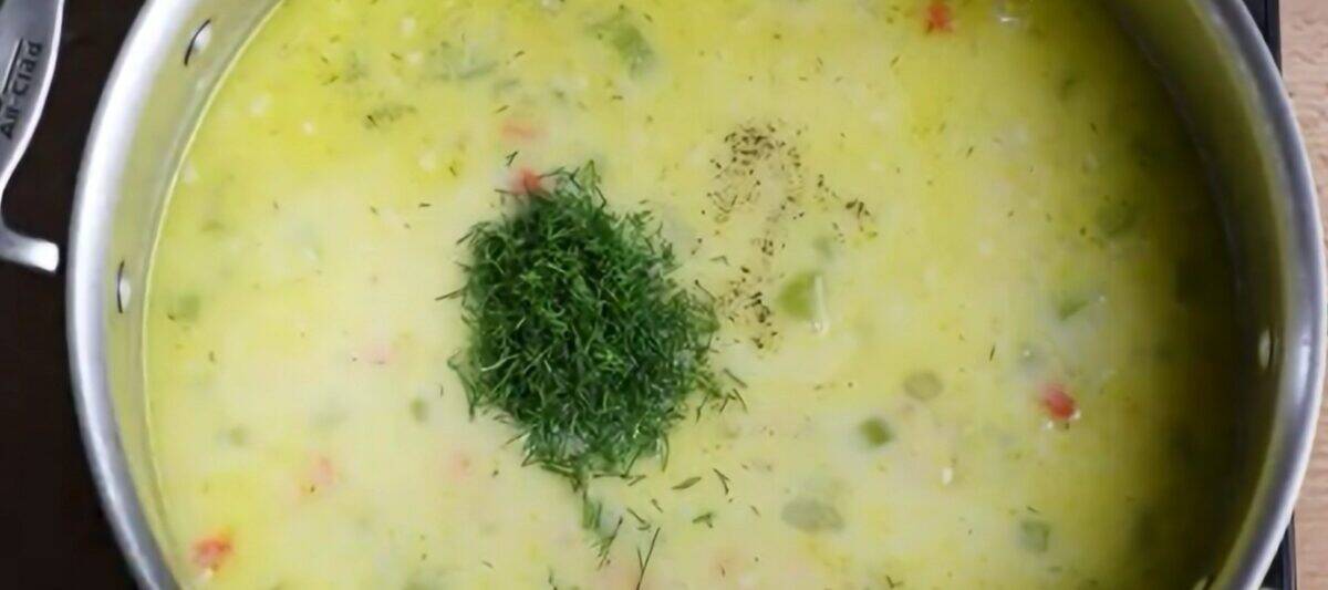 Adding seasonings and dill to the soup.