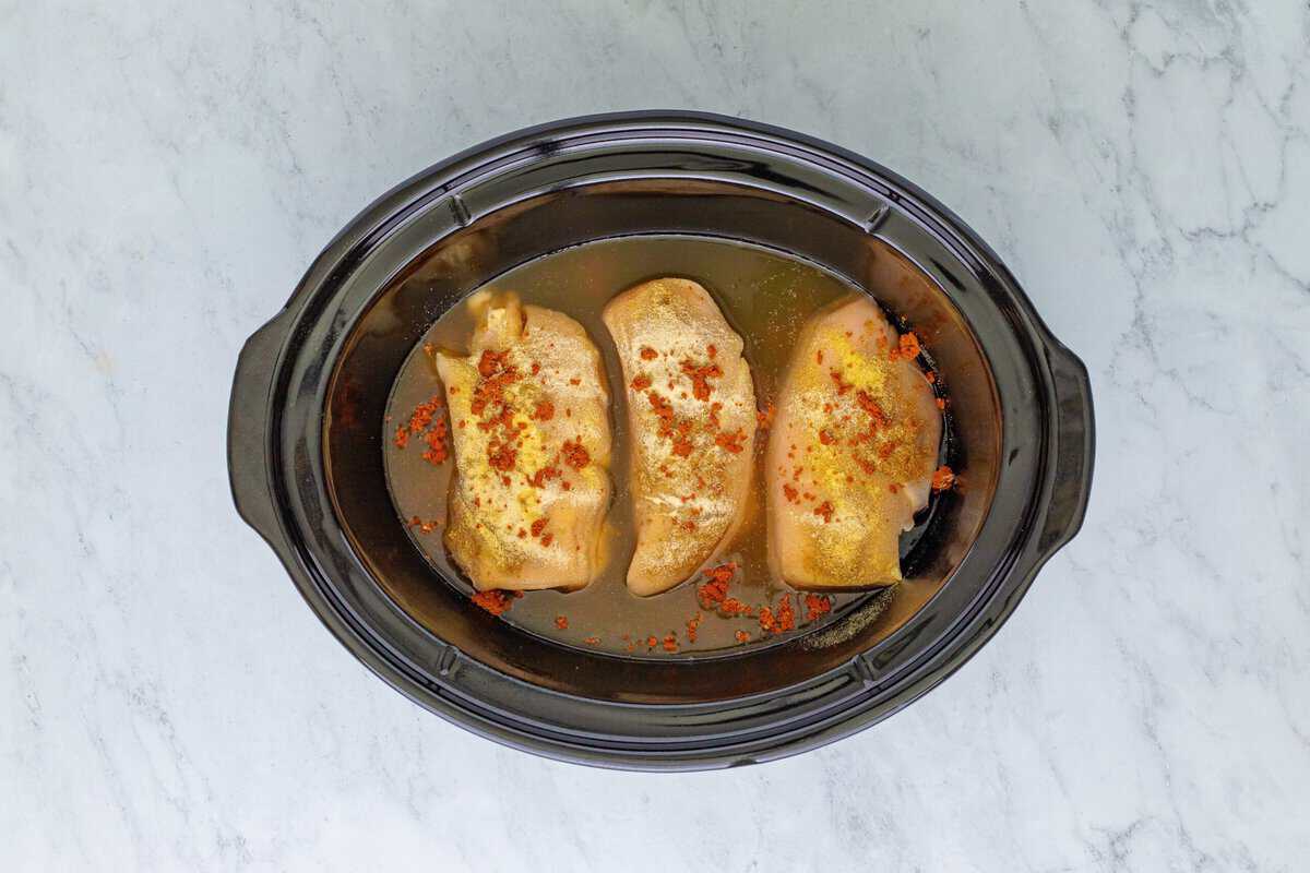 Salsa and broth added to the crockpot with the chicken.