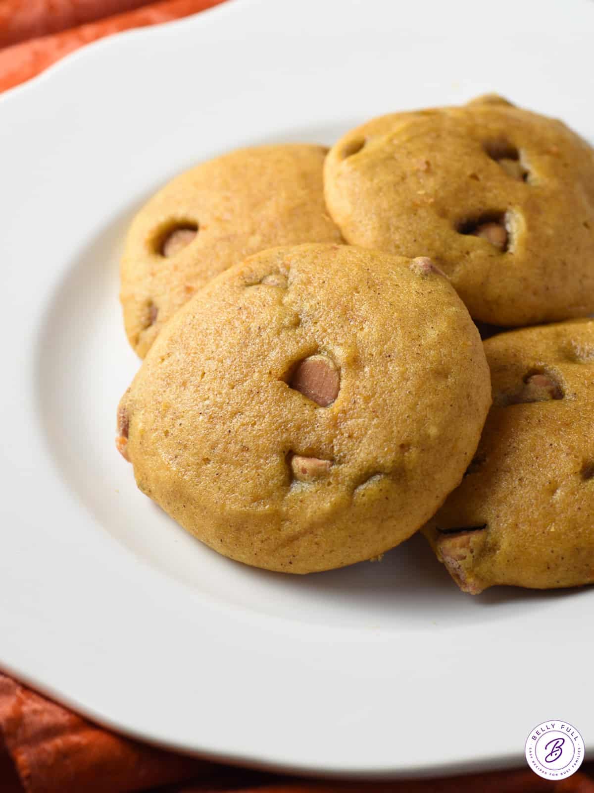 close up butterscotch pumpkin cookie