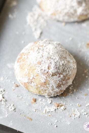 close up snowball cookie