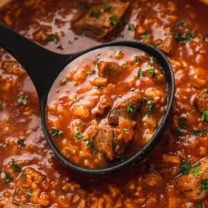 A ladle of tomato and rice soup over a pot of soup