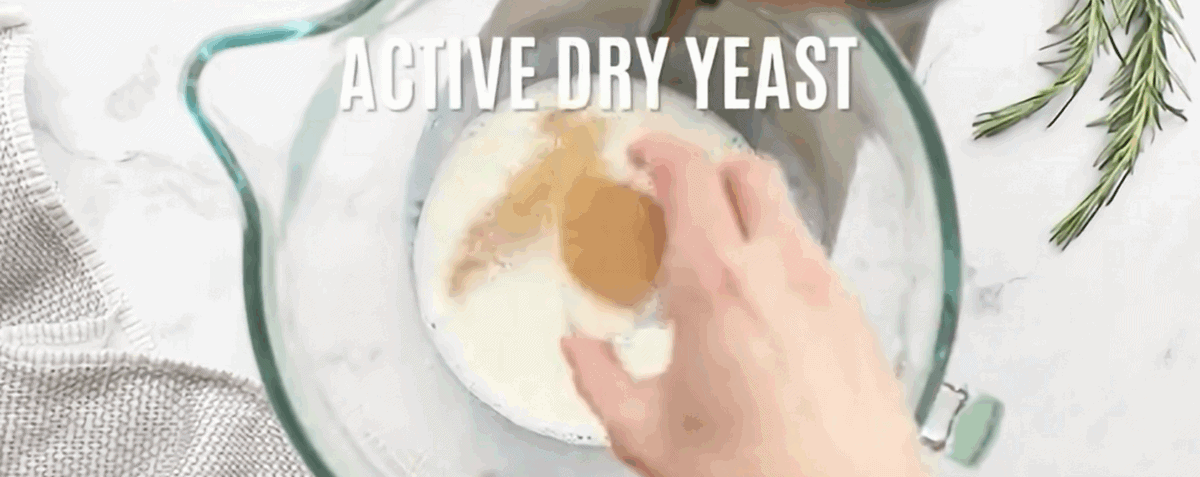 Activating the yeast for the rolls in a large glass measuring cup.