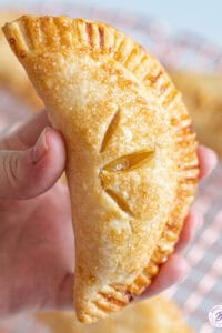 close up hand holding triangle apple hand pie