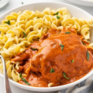 A bowl of chicken paprikash with egg noodles
