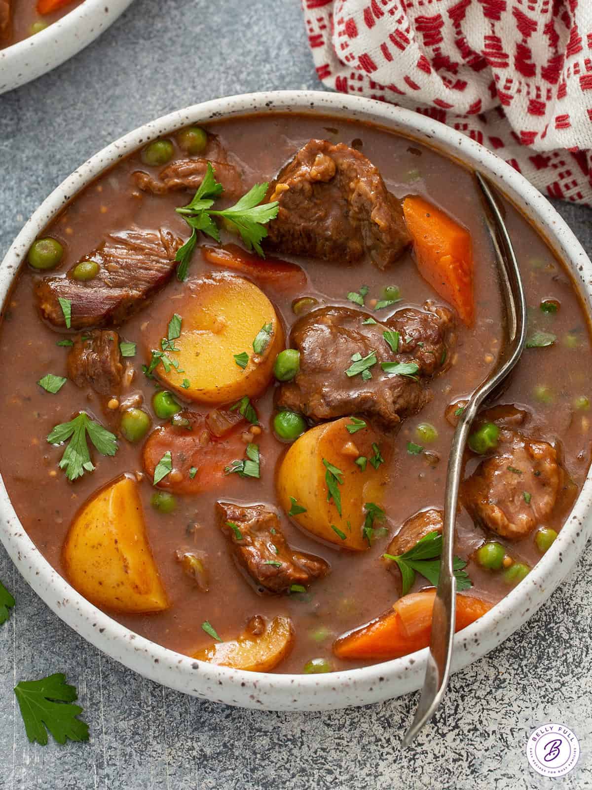 Slow Cooker Beef Stew Recipe {Best Ever!} - Belly Full