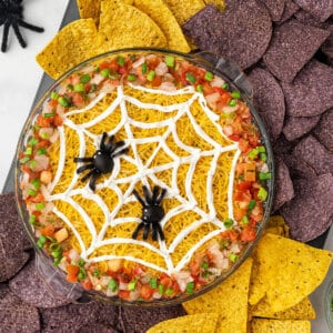 overhead 5 layer spiderweb dip with tortilla chips