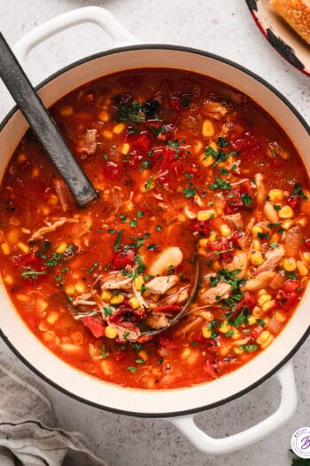 Overhead view of a ladle in a pot of Brunswick stew.