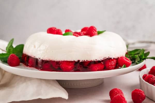 Snowy raspberry jello mold on a serving playyer