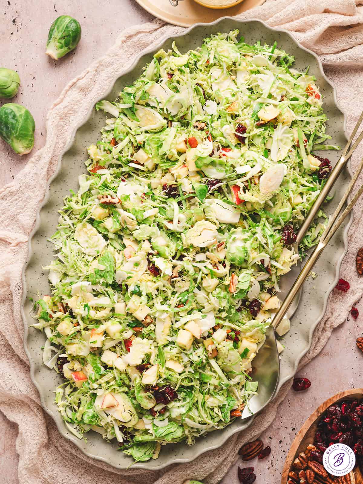 Brussels sprouts, cranberries, nuts, and apples are tossed in a tangy vinaigrette in this Shaved Brussels Sprouts Salad. Super easy to make! Overhead view of shaved brussels sprouts salad on a platter