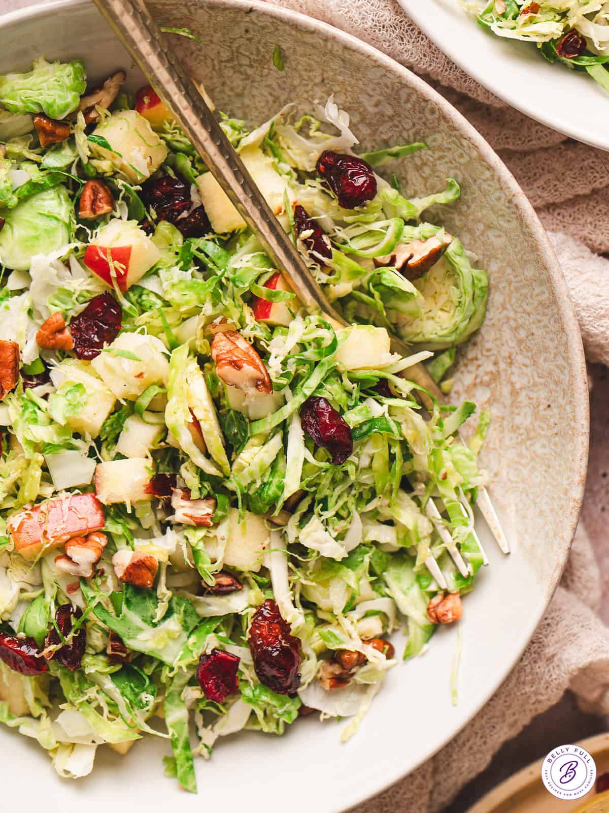 Brussels sprouts, cranberries, nuts, and apples are tossed in a tangy vinaigrette in this Shaved Brussels Sprouts Salad. Super easy to make! A bowl of shaved brussels sprouts salad