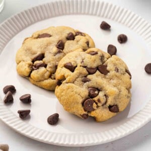 Two chocolate chip cookies on a white plate