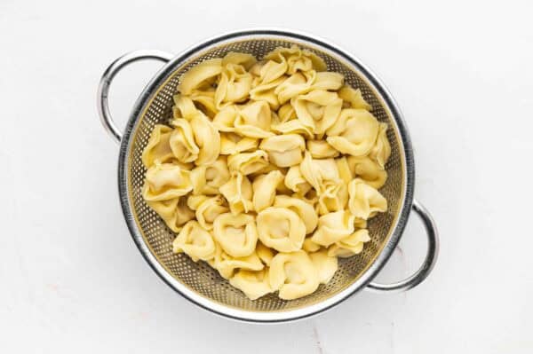 cooked tortellini draining in colander
