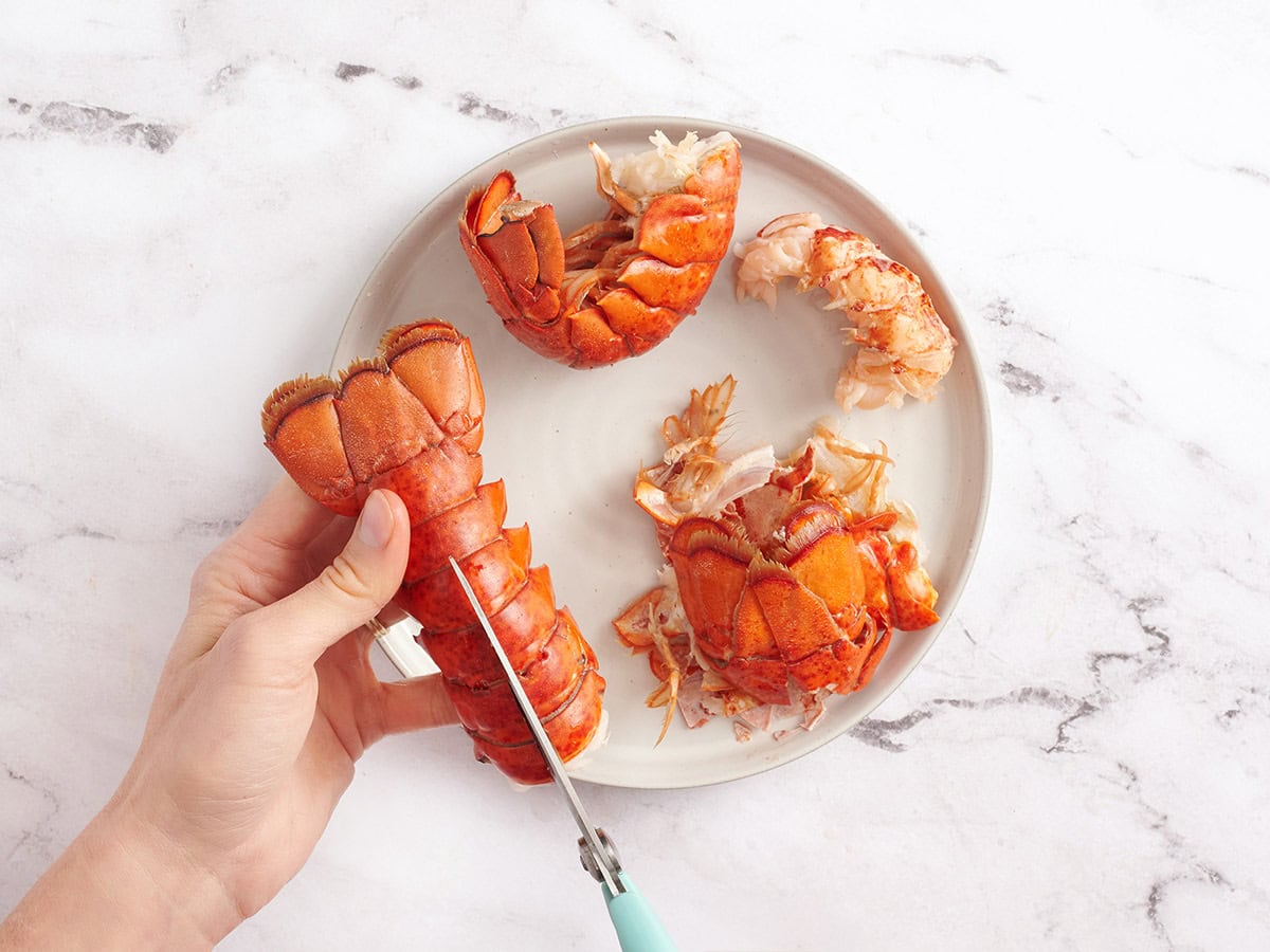 Hands using kitchen shears to cut open cooked lobster tail shells.