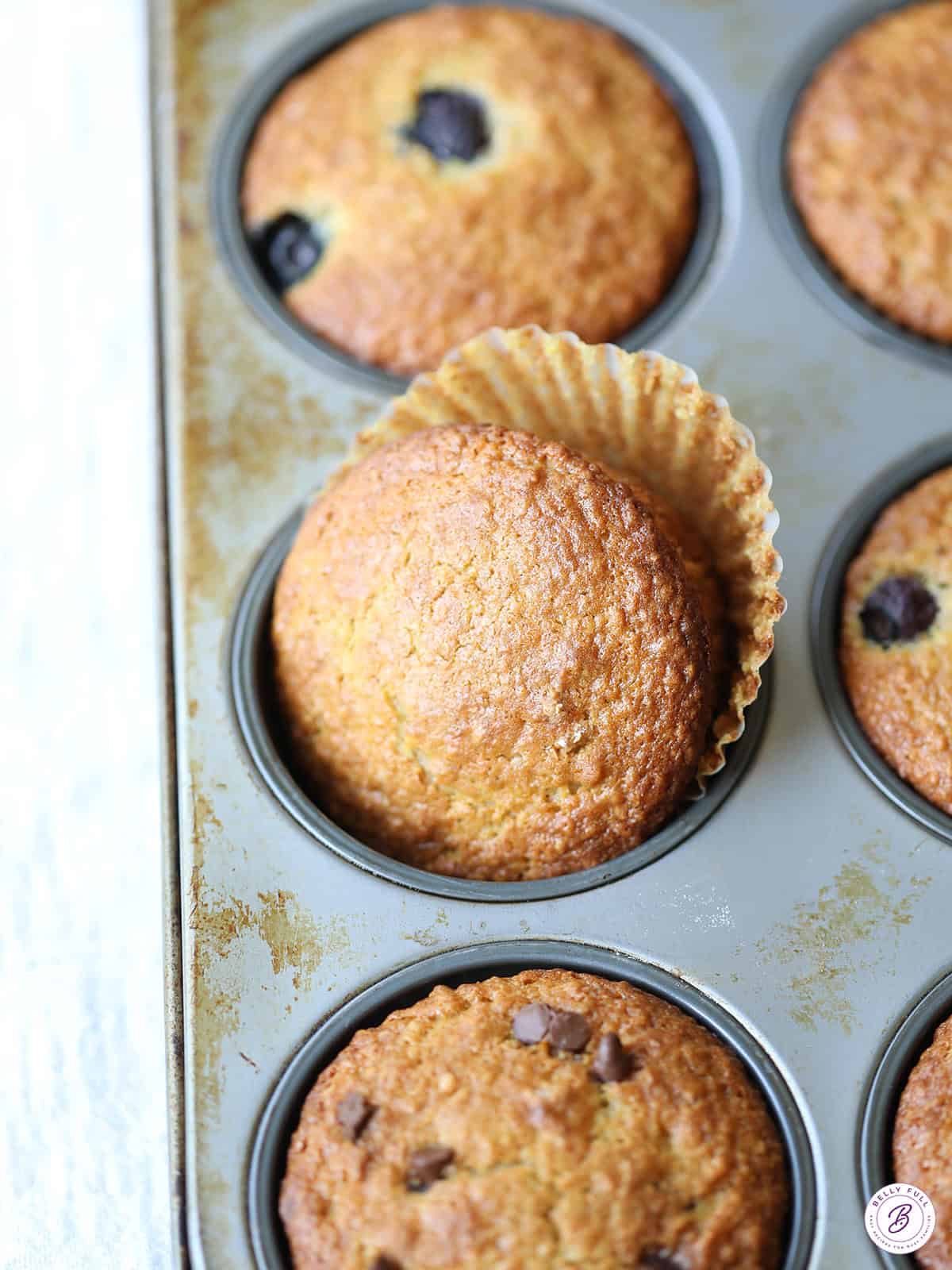 close up bran muffin in muffin tin