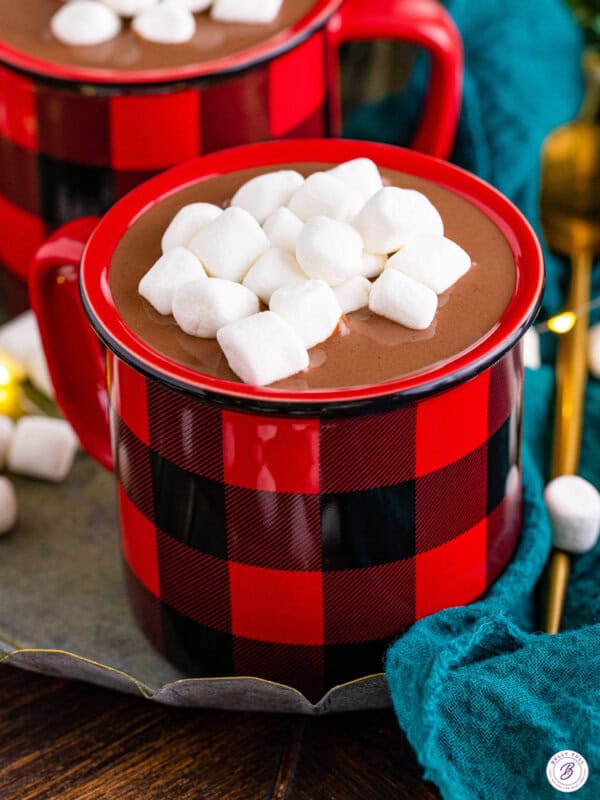 Slow Cooker Hot Chocolate in mug with marshmallows