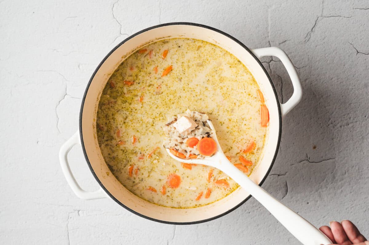 ladle in pot with chicken rice soup