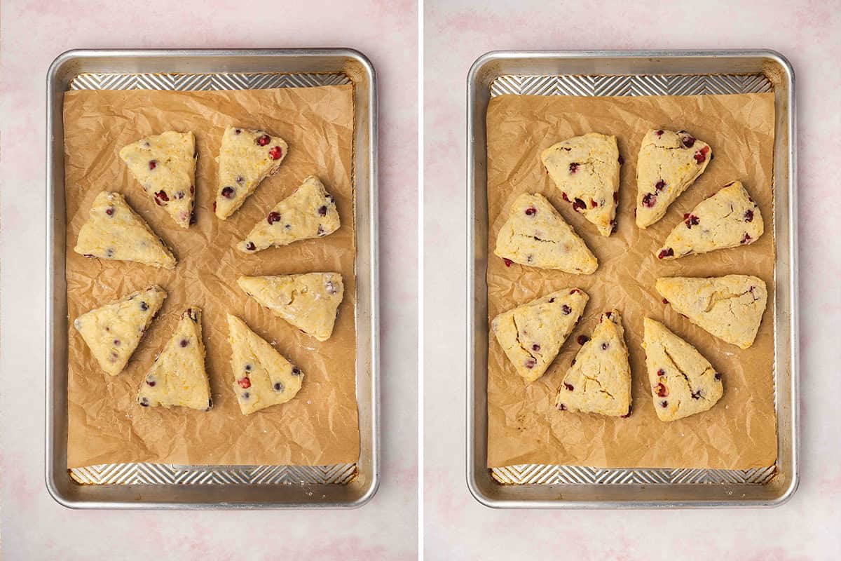 8 unglazed cranberry orange scones baked on sheet tray