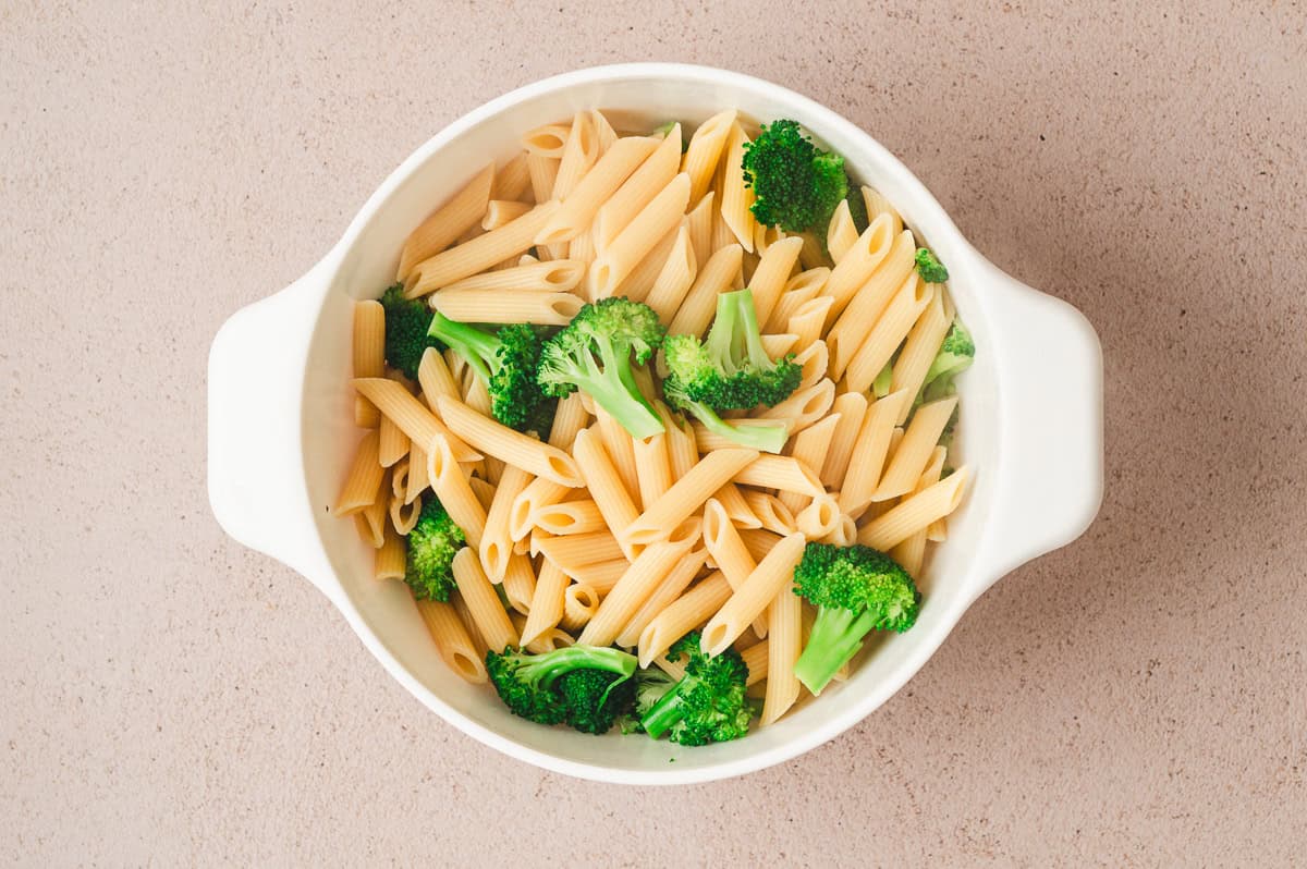 Cooked penne pasta and bright green broccoli florets drained