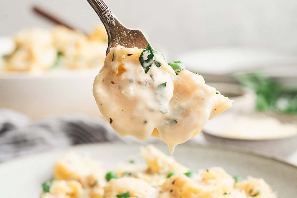 Fork holding a bite of cheese tortellini covered in rich alfredo sauce
