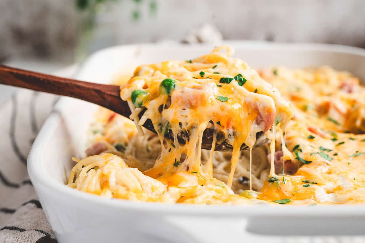 spoon scooping out baked ham tetrazzini