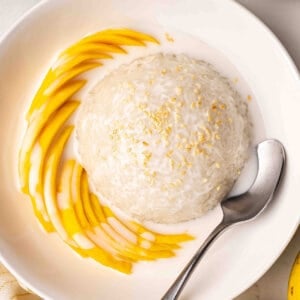 Overhead view of a bowl of finished mango sticky rice.